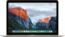 MacBook (Retina, 12-inch, Early 2016) image